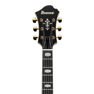 Ibanez PM3C-BKL Pat Metheny Signature Siyah Hollow Body Elektro Gitar